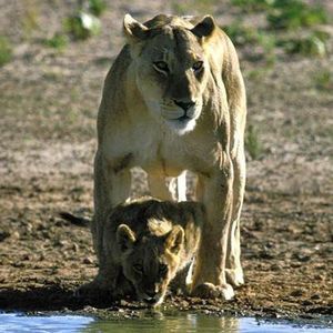 Meet your Posher, Tammy